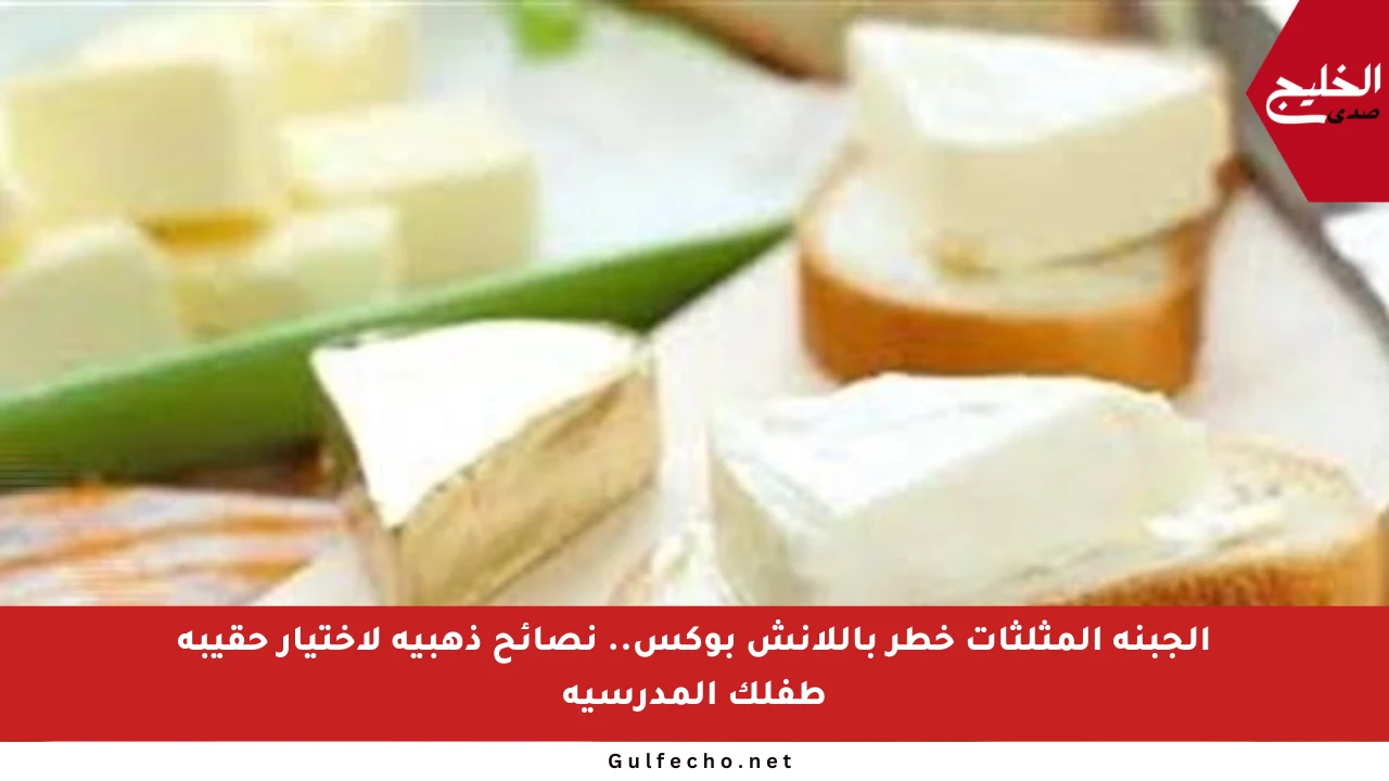 الجبنة المثلثات خطر باللانش بوكس.. نصائح ذهبية لاختيار حقيبة طفلك المدرسية
